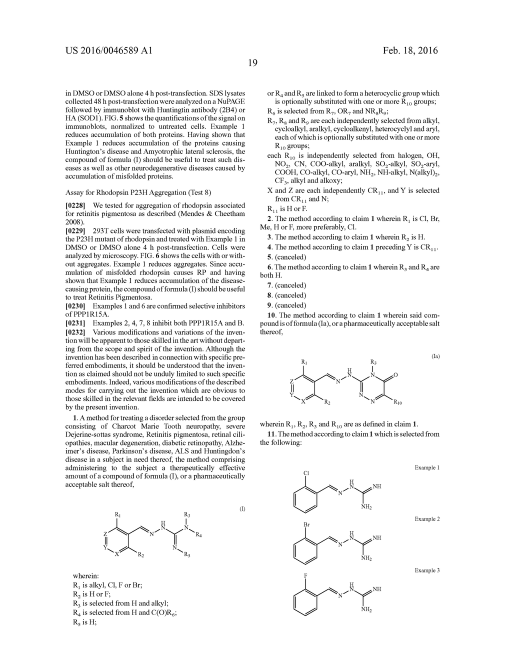 Benzylideneguanidine Derivatives and Therapeutic Use for the Treatment of     Protein Misfolding Diseases - diagram, schematic, and image 26