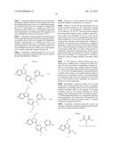 HETEROARYL SUBSTITUTED INDAZOLES diagram and image