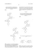 CERTAIN PROTEIN KINASE INHIBITORS diagram and image