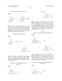 CERTAIN PROTEIN KINASE INHIBITORS diagram and image