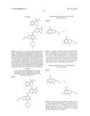 CERTAIN PROTEIN KINASE INHIBITORS diagram and image