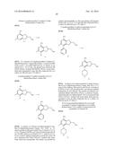 CERTAIN PROTEIN KINASE INHIBITORS diagram and image