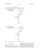 CERTAIN PROTEIN KINASE INHIBITORS diagram and image