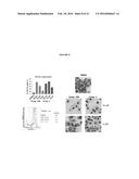 COMPOSITIONS COMPRISING THIENOPYRIMIDINE AND THIENOPYRIDINE COMPOUNDS AND     METHODS OF USE THEREOF diagram and image