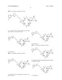 CONVERGENT PROCESSES FOR PREPARING MACROLIDE ANTIBACTERIAL AGENTS diagram and image