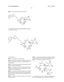 CONVERGENT PROCESSES FOR PREPARING MACROLIDE ANTIBACTERIAL AGENTS diagram and image