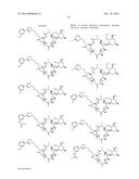 CONVERGENT PROCESSES FOR PREPARING MACROLIDE ANTIBACTERIAL AGENTS diagram and image