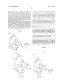 CONVERGENT PROCESSES FOR PREPARING MACROLIDE ANTIBACTERIAL AGENTS diagram and image