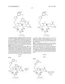 CONVERGENT PROCESSES FOR PREPARING MACROLIDE ANTIBACTERIAL AGENTS diagram and image