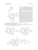 CONVERGENT PROCESSES FOR PREPARING MACROLIDE ANTIBACTERIAL AGENTS diagram and image