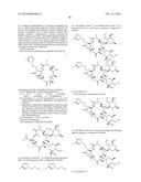 CONVERGENT PROCESSES FOR PREPARING MACROLIDE ANTIBACTERIAL AGENTS diagram and image