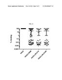 PSEUDOMONAS EXOTOXIN A WITH LESS IMMUNOGENIC B CELL EPITOPES diagram and image