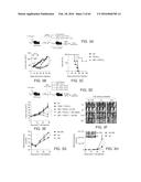 METHODS FOR ACTIVATING T CELLS USING AN INDUCIBLE CHIMERIC POLYPEPTIDE diagram and image