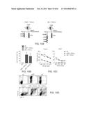 METHODS FOR ACTIVATING T CELLS USING AN INDUCIBLE CHIMERIC POLYPEPTIDE diagram and image