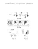 METHODS FOR ACTIVATING T CELLS USING AN INDUCIBLE CHIMERIC POLYPEPTIDE diagram and image