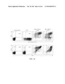 METHODS FOR ACTIVATING T CELLS USING AN INDUCIBLE CHIMERIC POLYPEPTIDE diagram and image