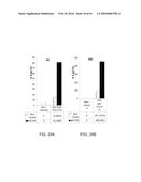 METHODS FOR ACTIVATING T CELLS USING AN INDUCIBLE CHIMERIC POLYPEPTIDE diagram and image