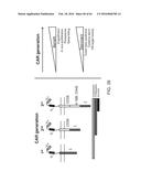 METHODS FOR ACTIVATING T CELLS USING AN INDUCIBLE CHIMERIC POLYPEPTIDE diagram and image