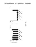 METHODS FOR ACTIVATING T CELLS USING AN INDUCIBLE CHIMERIC POLYPEPTIDE diagram and image