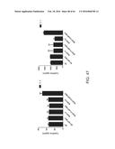 METHODS FOR ACTIVATING T CELLS USING AN INDUCIBLE CHIMERIC POLYPEPTIDE diagram and image