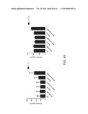 METHODS FOR ACTIVATING T CELLS USING AN INDUCIBLE CHIMERIC POLYPEPTIDE diagram and image