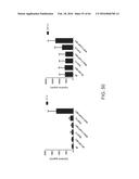 METHODS FOR ACTIVATING T CELLS USING AN INDUCIBLE CHIMERIC POLYPEPTIDE diagram and image