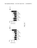 METHODS FOR ACTIVATING T CELLS USING AN INDUCIBLE CHIMERIC POLYPEPTIDE diagram and image