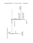 METHODS FOR ACTIVATING T CELLS USING AN INDUCIBLE CHIMERIC POLYPEPTIDE diagram and image