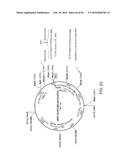 METHODS FOR ACTIVATING T CELLS USING AN INDUCIBLE CHIMERIC POLYPEPTIDE diagram and image