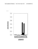 ANTIBODY AGAINST HUMAN NRG1 PROTEIN diagram and image