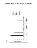 ANTIBODY AGAINST HUMAN NRG1 PROTEIN diagram and image