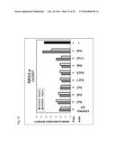 ANTIBODY AGAINST HUMAN NRG1 PROTEIN diagram and image