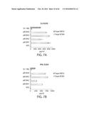 TREATMENT OF CANCER USING HUMANIZED ANTI-BCMA CHIMERIC ANTIGEN RECEPTOR diagram and image