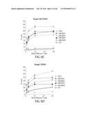 TREATMENT OF CANCER USING HUMANIZED ANTI-BCMA CHIMERIC ANTIGEN RECEPTOR diagram and image