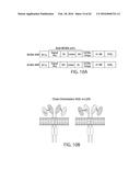 TREATMENT OF CANCER USING HUMANIZED ANTI-BCMA CHIMERIC ANTIGEN RECEPTOR diagram and image