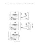 TREATMENT OF CANCER USING HUMANIZED ANTI-BCMA CHIMERIC ANTIGEN RECEPTOR diagram and image