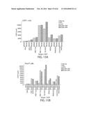 TREATMENT OF CANCER USING HUMANIZED ANTI-BCMA CHIMERIC ANTIGEN RECEPTOR diagram and image