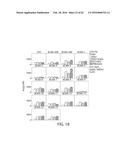 TREATMENT OF CANCER USING HUMANIZED ANTI-BCMA CHIMERIC ANTIGEN RECEPTOR diagram and image