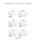 TREATMENT OF CANCER USING HUMANIZED ANTI-BCMA CHIMERIC ANTIGEN RECEPTOR diagram and image