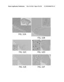 TREATMENT OF CANCER USING HUMANIZED ANTI-BCMA CHIMERIC ANTIGEN RECEPTOR diagram and image