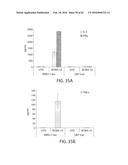 TREATMENT OF CANCER USING HUMANIZED ANTI-BCMA CHIMERIC ANTIGEN RECEPTOR diagram and image