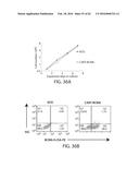 TREATMENT OF CANCER USING HUMANIZED ANTI-BCMA CHIMERIC ANTIGEN RECEPTOR diagram and image