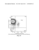 TREATMENT OF CANCER USING HUMANIZED ANTI-BCMA CHIMERIC ANTIGEN RECEPTOR diagram and image