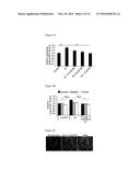 Polysialic acid and use for treatment of neurodegenerative and     neuroinflammatory diseases diagram and image