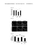 Polysialic acid and use for treatment of neurodegenerative and     neuroinflammatory diseases diagram and image