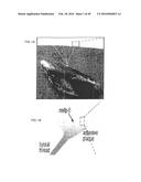 Surface-Independent, Surface-Modifying, Multifunctional Coatings and     Applications Thereof diagram and image