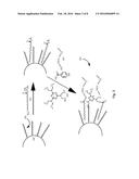 Surface Modified Nanoparticles diagram and image