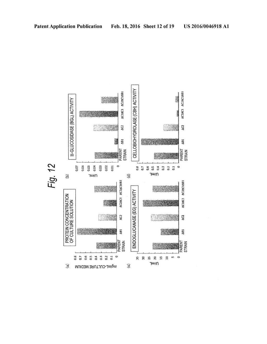 MUTANT OF CELLULASE-PRODUCING MICROORGANISM, PRODUCTION METHOD OF     CELLULASE AND PRODUCTION METHOD OF CELLO-OLIGOSACCHARIDE - diagram, schematic, and image 13