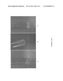 Microbial Fermentation Methods and Compositions diagram and image