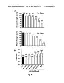 MUTANT GIBBERELLIN 2-OXIDASE GENES AND USES THEREOF diagram and image